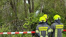 Feuerwehrleute sichern die Unglücksstelle bei Deißlingen am Ostermontag. Im Hintergrund ist die einmotorige Maschine zu sehen.
