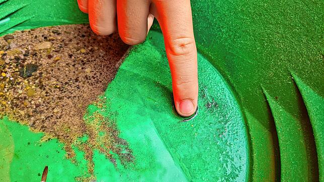 Es funkelt: Winzige Goldflitter bleiben in der Waschpfanne, wenn Sand und Schlamm bereits rausgespült wurden.