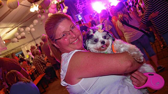 Bild 8: Bezirksmusikfest in Hohentengen – das Abendprogramm