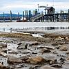 Niedriger Wasserstand im Hafen von Iznang: Dank des weit auf den See hinausreichenden Steges können die Kursschiffe hier dennoch ...