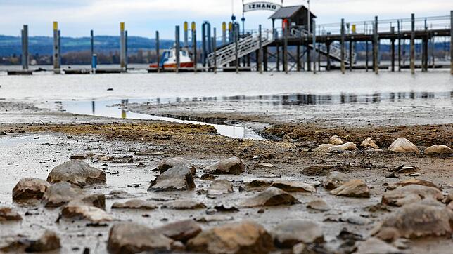 Niedriger Wasserstand im Hafen von Iznang: Dank des weit auf den See hinausreichenden Steges können die Kursschiffe hier dennoch ...