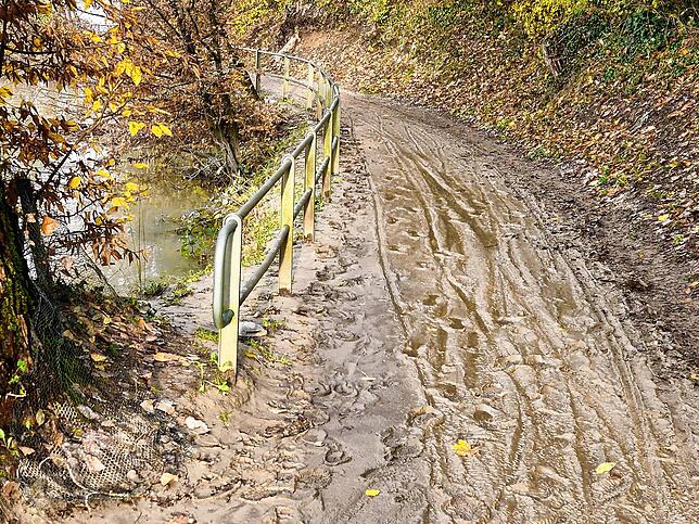 Trotz eindeutiger Verbote zeigen die frischen Spuren im angespülten Schlamm, dass der Rheinuferweg, dass dieser weiterhin frequentiert wird.