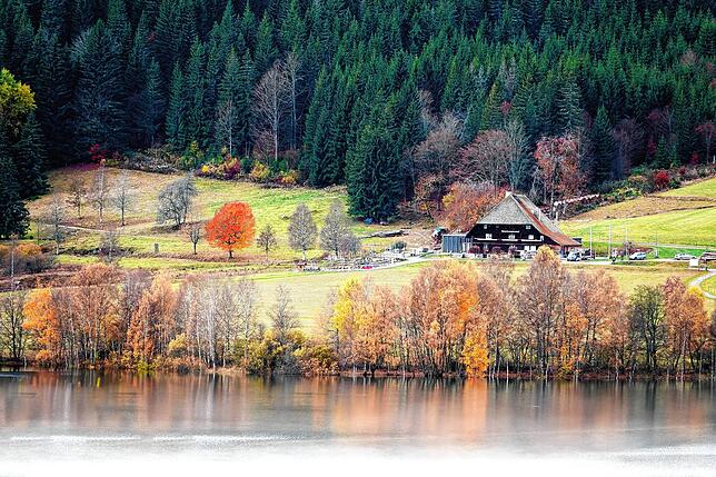 So idyllisch zeigt sich der Herbst derzeit am Schluchsee.