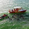 15 Teilnehmer legten beim Neujahrsschwimmen der DLRG rund eineinhalb Kilometer im Bodensee zurück.