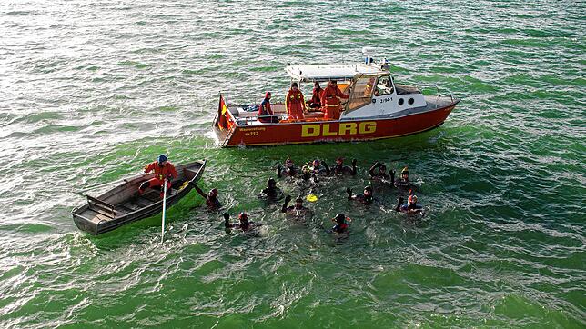 15 Teilnehmer legten beim Neujahrsschwimmen der DLRG rund eineinhalb Kilometer im Bodensee zurück.