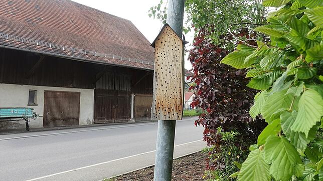 Ein sogenanntes &bdquo;Insektenhaus&ldquo;, wie hier in der Markdorfer Talstraße, ist die perfekte Nisthilfe für beispielsweise Wildbienen.