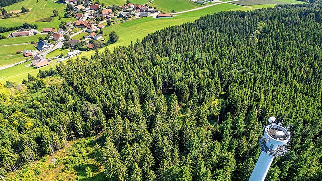 Auf dem Staufenkopf soll ein Hochbehälter gebaut werden. Foto: Wilfried Dieckmann