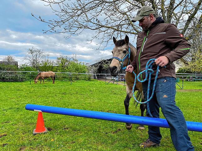 Zusammen mit Pony Roxy geht dies leichter.