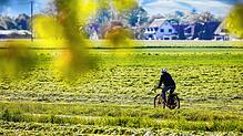 Das Wetter am 1. Mai bietet sich für einen Ausflug an