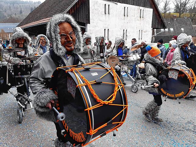 Bild 41: Die schönsten Bilder vom großen Habufa-Umzug in Hasel (1)