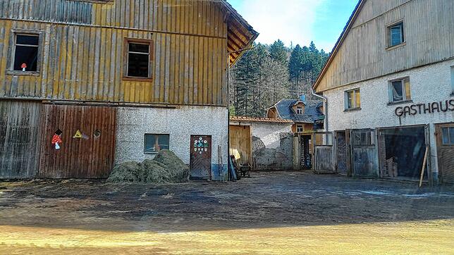 Katastrophale Zustände entdeckten Kontrolleure des Veterinäramtes im Stall eines landwirtschaftlichen Betriebes im St.&nbsp;Blasier ...