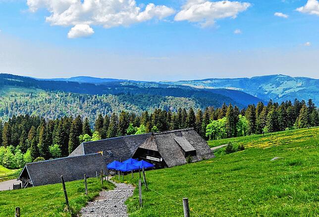 Auf dem Weg zum Feldberg-Gipfel bietet sich über die Sankt Wilhelmer Hütte hinweg ein aussichtsreicher Blick über den weitläufigen ...