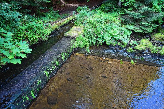 Ein genaues Regelwerk schreibt vor, dass höchstens 30 Prozent des Wassers der Murg in das Hännemer Wuhr abgeleitet werden darf.