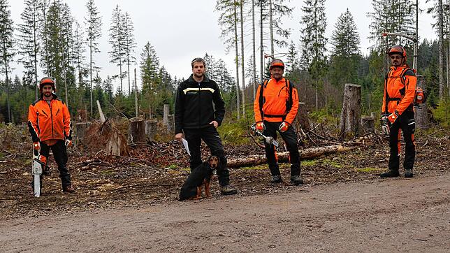 Im hiesigen Forst kämpfen sie gegen Borkenkäfer und Klimawandel: Kristopher Eckert, Bastian Weiß mit Hund Ajo, Markus Wursthorn und Jörg ...