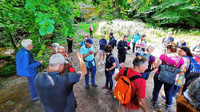 Bild 15: Wie läuft es sich von der Marienschlucht zum Burghof? Bilder einer Wanderung