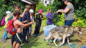 Beim Husky-Erlebnisnachmittag bei den Easy-Dream-Runners von Jessica Paulsen, bekommt jedes Kind einen eigenen speziellen Bauchgurt. In ...