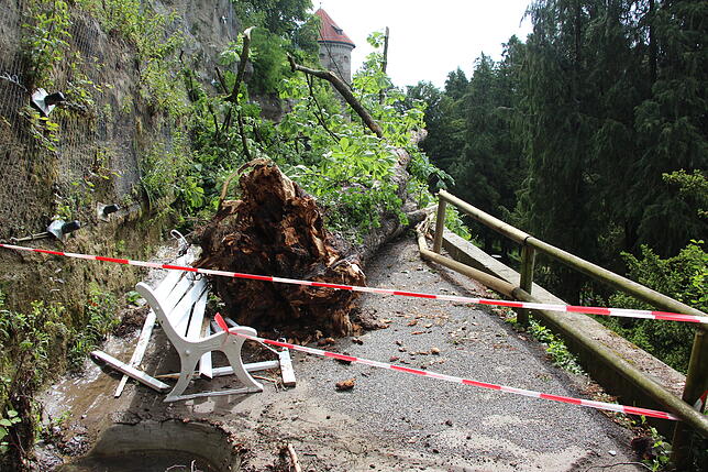 Im Stadtgarten ist ein Baum auf eine Parkbank gestürzt.