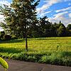 Hier am Rande des Landschaftsparks St. Leonhard soll auf einem 1,46 Hektar großen Plangebiet ein drei- bis viergeschossiges Wohngebäude ...