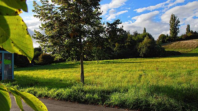 Hier am Rande des Landschaftsparks St. Leonhard soll auf einem 1,46 Hektar großen Plangebiet ein drei- bis viergeschossiges Wohngebäude ...