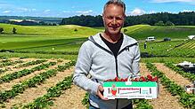 Wolfgang Hertell vom Bruderhof in Eigeltingen mit einem Korb frisch gepflückter Erdbeeren. Derzeit ist Hochsaison. Die Selbstpflücker ...