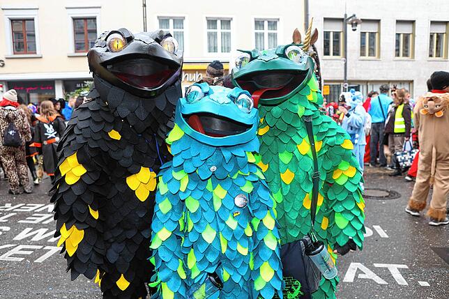 Bild 16: Die Konstanzer Fasnacht außer Rand und Band! Hästräger feiern auf der Marktstätte – die schönsten Bilder!