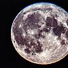 Ein äußerst seltenes und zugleich wunderschönes Naturphänomen ereignet sich in den kommenden Tagen: Der Blue Moon