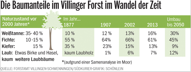Bild 1: Brauner: Die Fichte ist nicht schuld an der Borkenkäfer-Plage