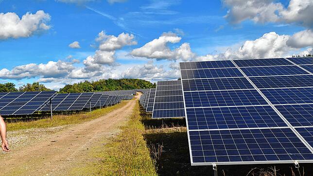 In Worblingen ist ein Solarpark geplant. In anderen Gemeinden des Hegaus stehen bereits solche Solarparks, wie etwa in Steißlingen. ...