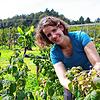 Harte Arbeit &ndash; karger Lohn: Lina Seitzl half auf dem Seeblickhof auch bei der Himbeerernte.