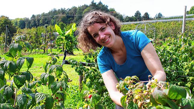 Harte Arbeit &ndash; karger Lohn: Lina Seitzl half auf dem Seeblickhof auch bei der Himbeerernte.