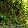 Ein cooles Naturwunder: die Gauchachschlucht im Hochsommer