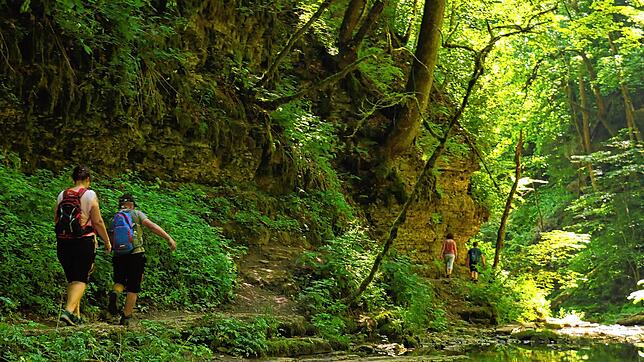 Ein cooles Naturwunder: die Gauchachschlucht im Hochsommer