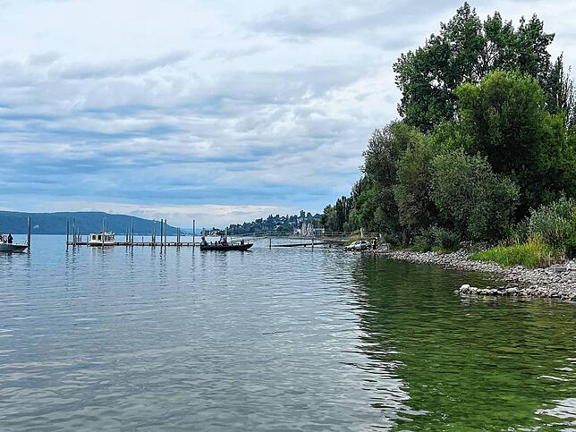 Bild 2: Dramatische Szenen am Bodensee: 89-Jährige fährt mit Auto ins Wasser – Freunde eilen zur Rettung