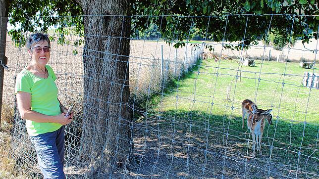 Dorothea Stihl, Wanderführerin des hiesigen Schwarzwaldvereins, auf dem Rundweg um die Burgtalhöfe in Stockach, auf dem man auch an ...