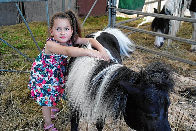 Jayda ist mit ihren fünf Jahren das jüngste Mitglied der Familie Renz. Sie lässt es sich nicht nehmen, Mini-Pony Chico bei den ...