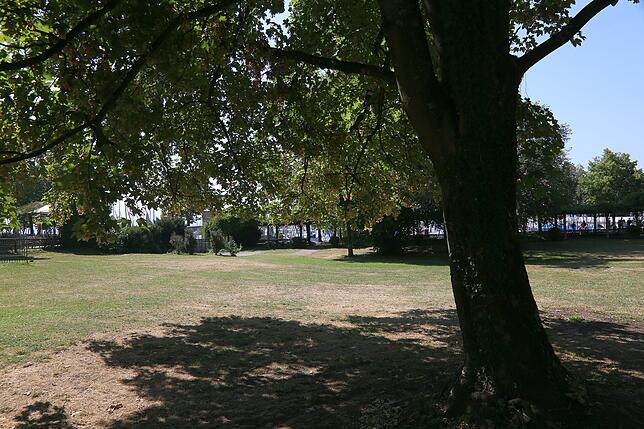 Es gibt Abschnitte des Uferparks, wie hier zwischen dem Hafen des Württembergischen Yachtclubs und dem Busparkplatz an der ...