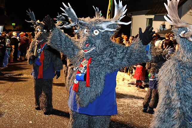 Bild 10: Nachtumzug in Pfaffenweiler (2/2)