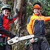 Baumkletterer Luka Hoschka (links) und Simon Zimmermann arbeiten öfter zusammen, wenn es darum geht, einen Baum in luftigen Höhen zu ...