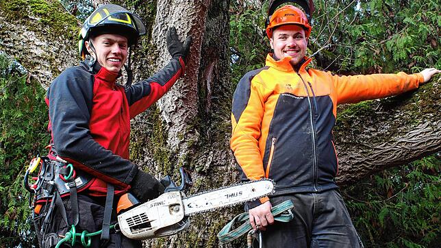 Baumkletterer Luka Hoschka (links) und Simon Zimmermann arbeiten öfter zusammen, wenn es darum geht, einen Baum in luftigen Höhen zu ...