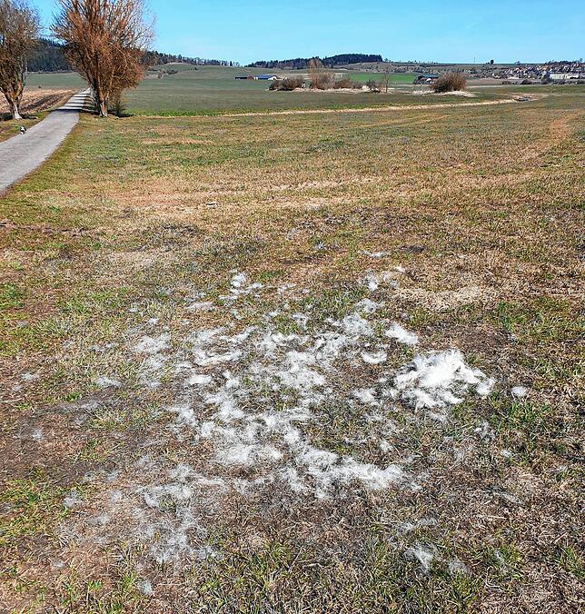 Weiße Haare auf grüner Wiese: Über diese Hinterlassenschaft ärgerte sich Hans-Peter Speck.