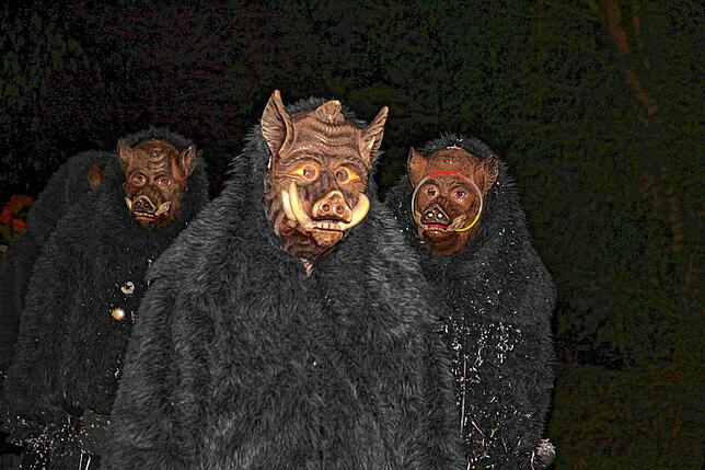 Bild 30: Bilder vom Nachtumzug beim Kleggau-Narrentreffen am Samstag