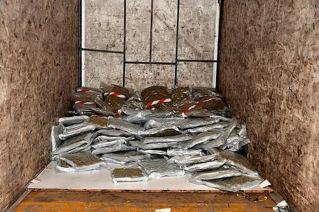 Bild 1: Marihuana im Wert von über einer Million Franken beschlagnahmt &ndash; Reiseunternehmer unter Verdacht