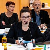 Constanze Kaiser, die Grünen.