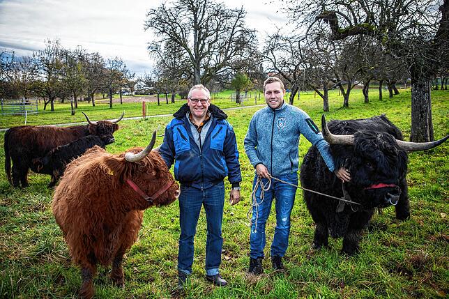 Roland (links) und Patrick Romer mit ihren schottischen Hochlandrindern.
