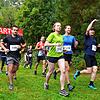Bild :