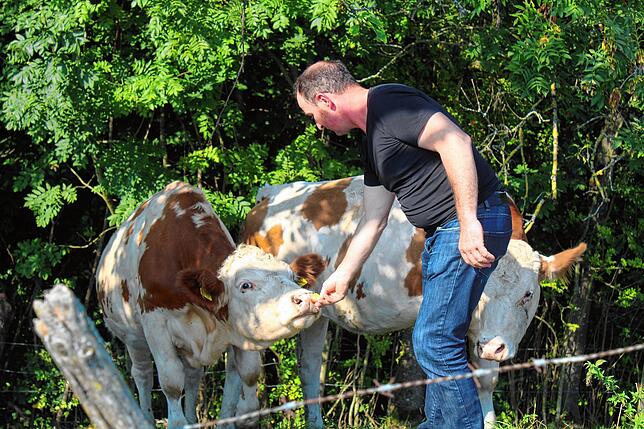 Neben kurzen Streicheleinheiten gibt es noch einen Apfel frisch vom Baum. Hubert Schönenberger kümmert sich liebevoll um seine Tiere.