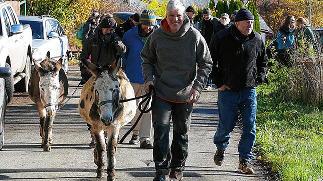 Umzug der acht Esel vom Distelhummelhof in Leibertingen: Aufbruch vom alten Hof in der Beuroner Straße. Vorne weg geht Carsten Weber.