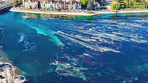 Die Algen, das niedrige Wasser und die Strömung zeichnen an der Seestraße faszinierende Formen in den Bodensee. Was am Ufer teilweise ...