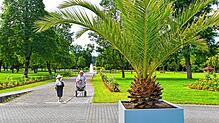 Der Kurpark Bad Dürrheim lädt auch zu einem Spaziergang unter Palmen ein – noch interessanter sind die vielen Lebewesen, die sich dort ...