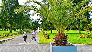 Der Kurpark Bad Dürrheim lädt auch zu einem Spaziergang unter Palmen ein – noch interessanter sind die vielen Lebewesen, die sich dort ...